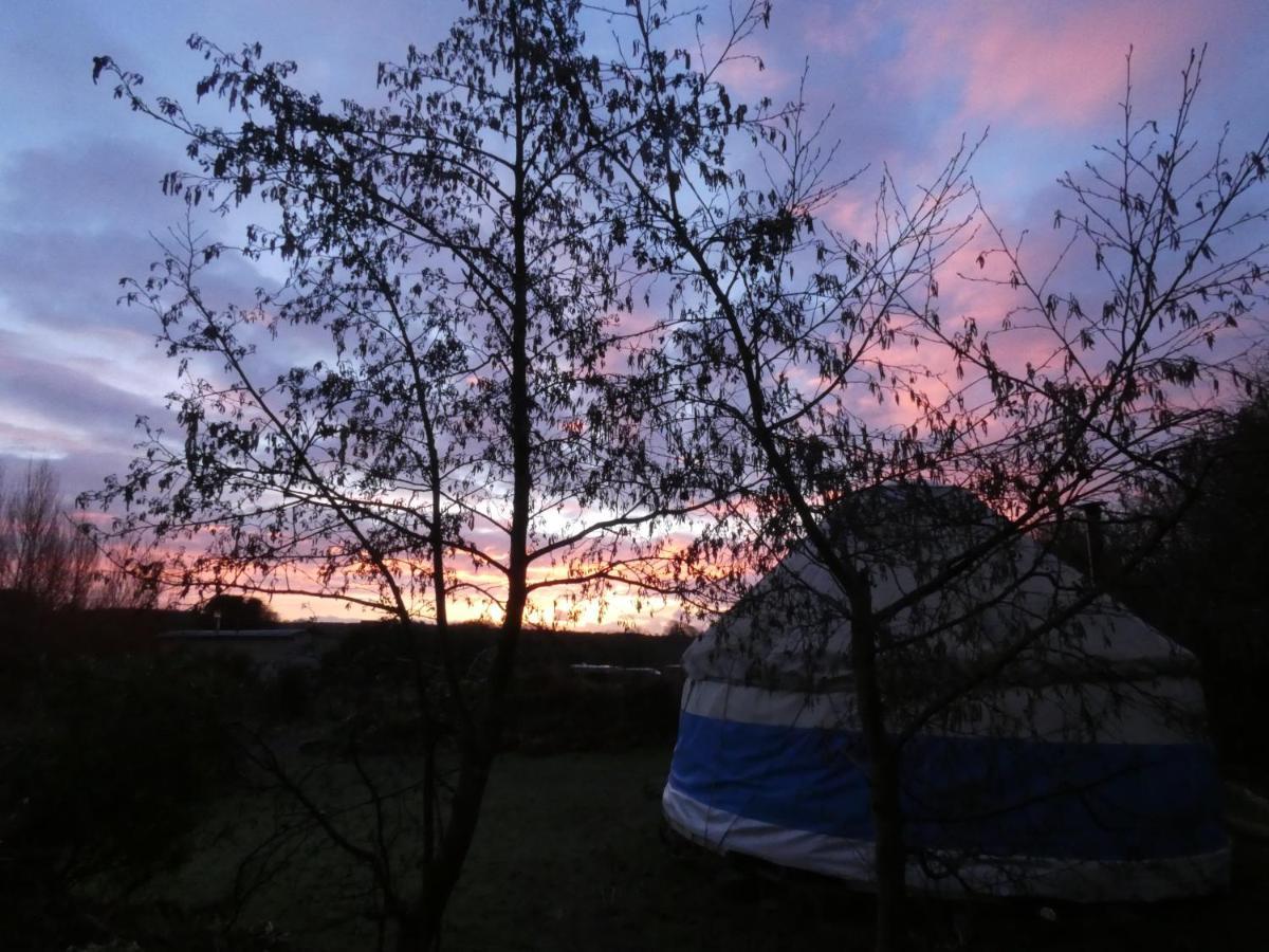 Inch Hideaway Eco Camping Whitegate  Εξωτερικό φωτογραφία
