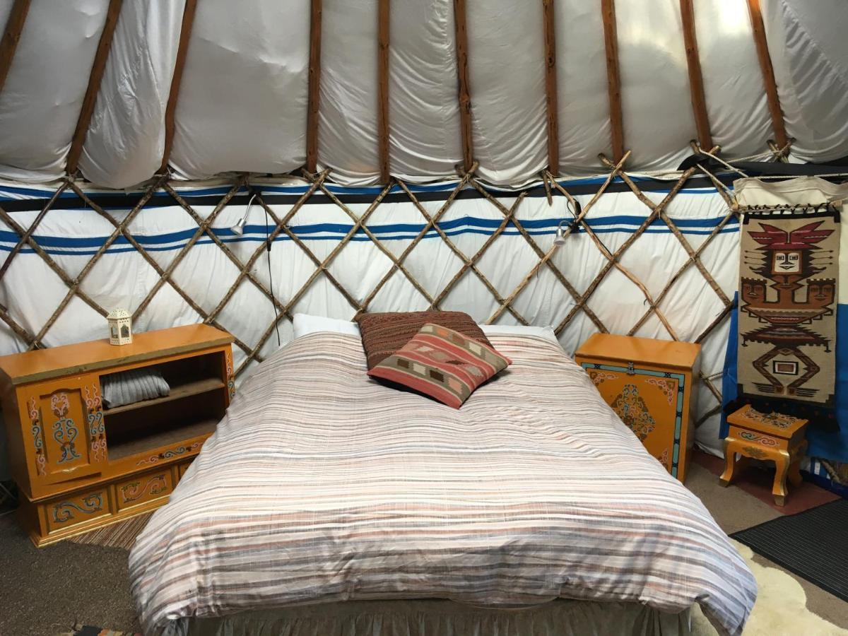 Inch Hideaway Eco Camping Whitegate  Εξωτερικό φωτογραφία
