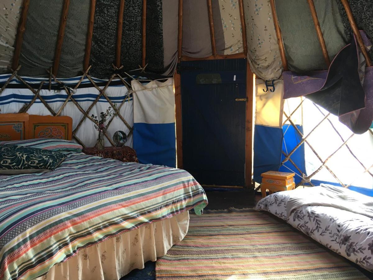Inch Hideaway Eco Camping Whitegate  Εξωτερικό φωτογραφία