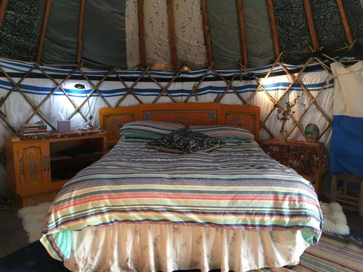Inch Hideaway Eco Camping Whitegate  Εξωτερικό φωτογραφία