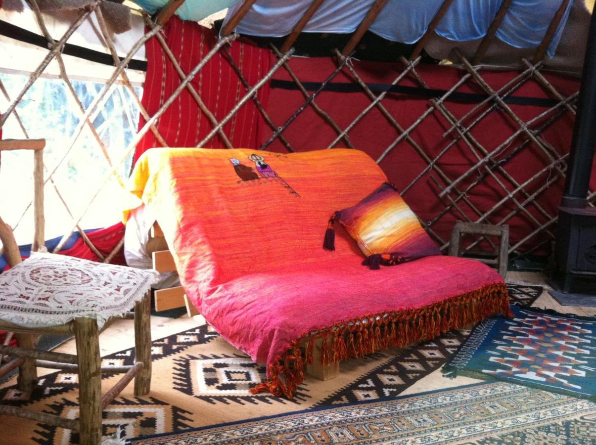 Inch Hideaway Eco Camping Whitegate  Εξωτερικό φωτογραφία