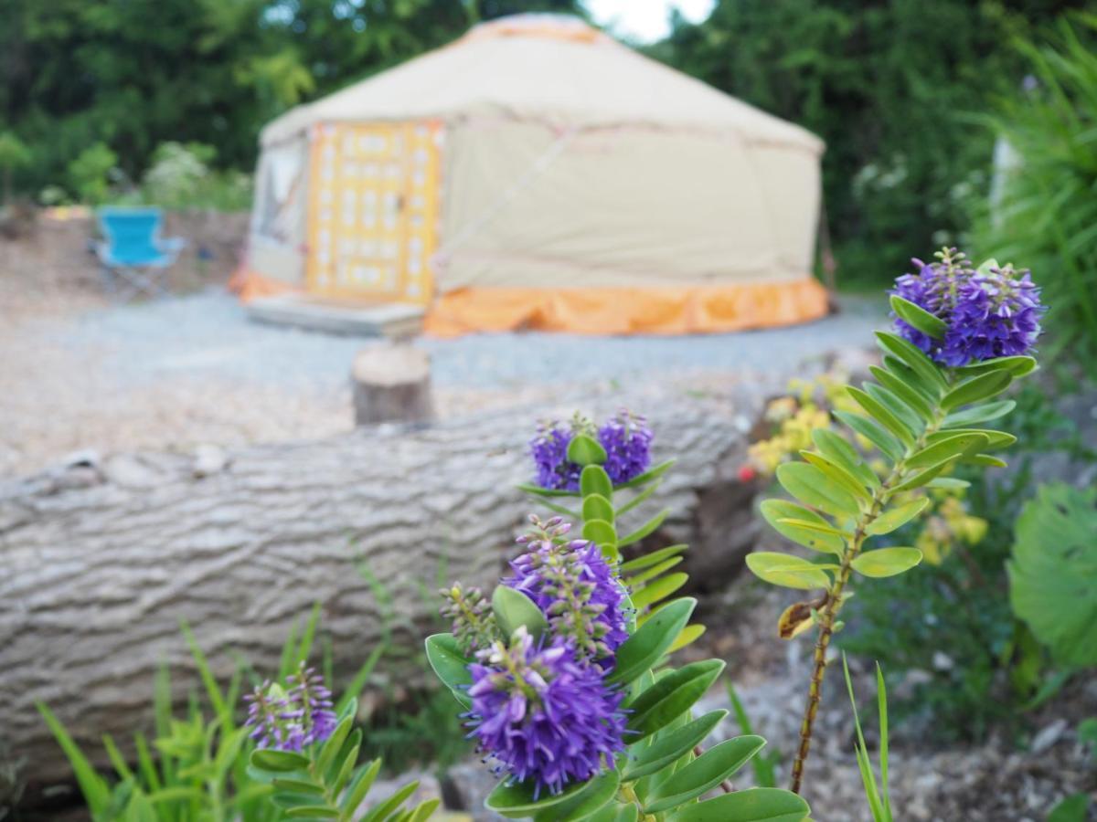 Inch Hideaway Eco Camping Ξενοδοχείο Whitegate  Εξωτερικό φωτογραφία